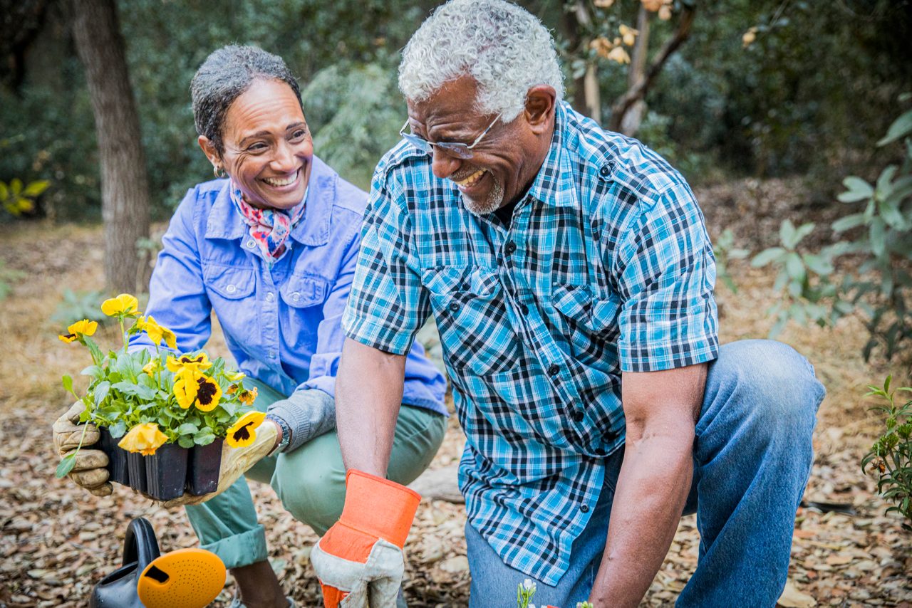 A senior retired black couple enjoying time together in the garden.