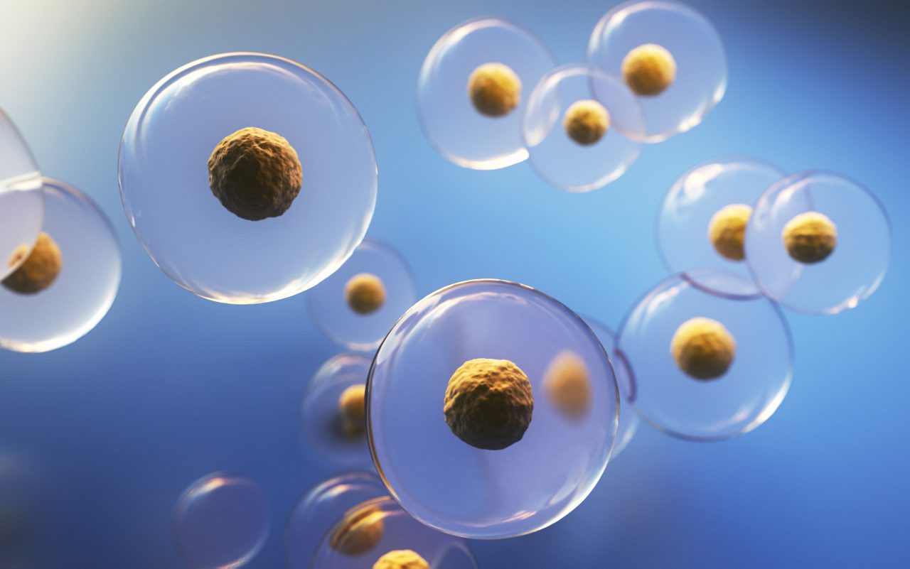 3d render Human Cell Embryonic Stem Cell, Medical and Macro Concept Laboratory and Medical Concept (Depth Of Field)