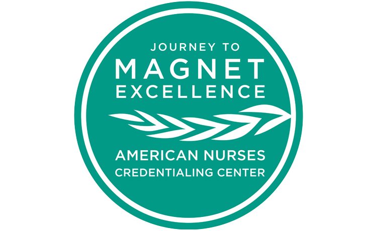 Magnet designation icon