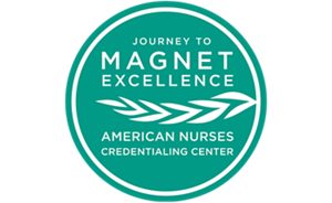Magnet designation icon