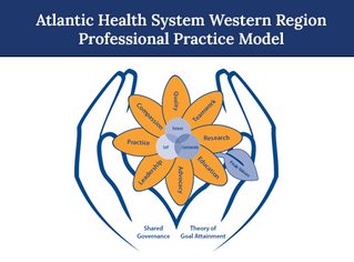 Professional practice model 