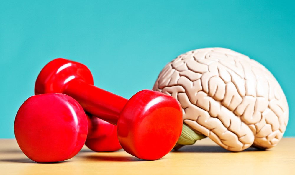 Brain with two dumbbells.