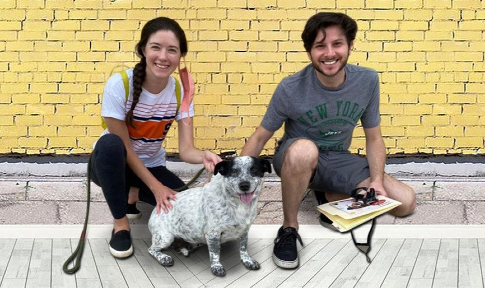 Dan's Story