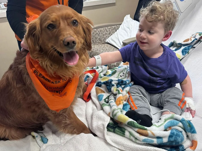 Dog with young child in hospital bed