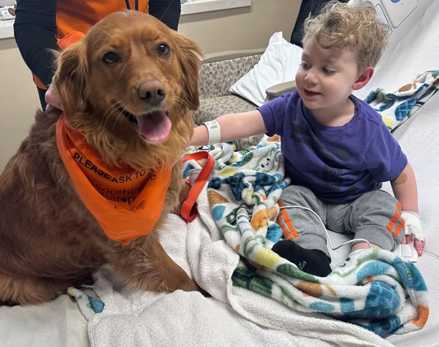 Dog with young child in hospital bed