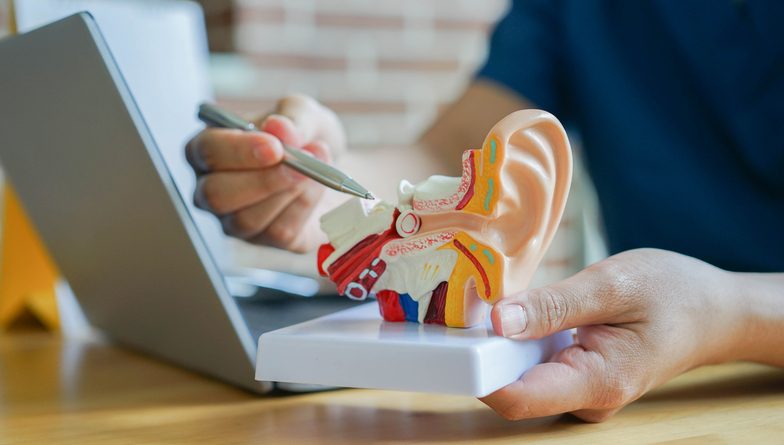 close up professional otolaryngologist explain and diagnose to patient by pointing on human ear anatomy about eardrum symptom for treatment and heal concept