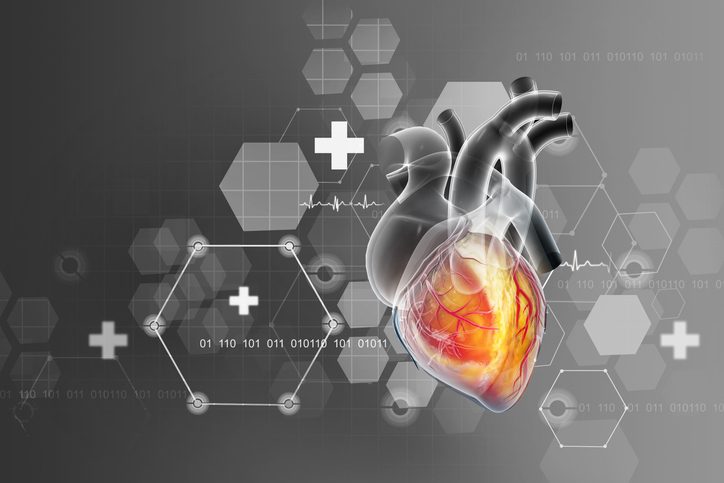 Anatomy of human heart, heart attack and heart disease. 3d illustration