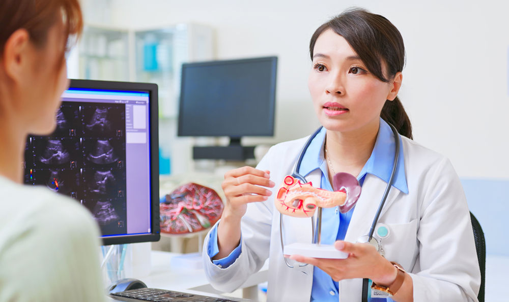 A doctor with a pancreas model