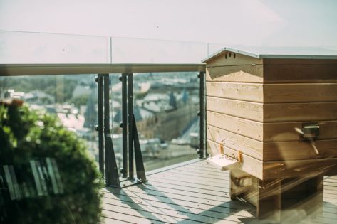 A bee house on a rooftop deck.