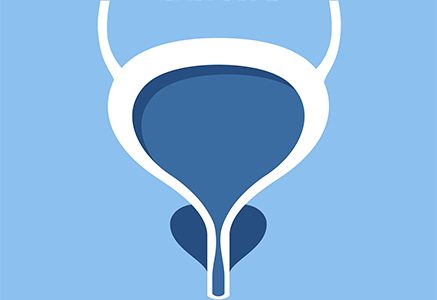 An image of a Prostate gland