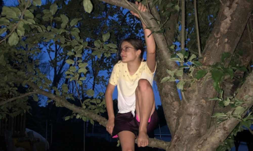 Sam in a tree.