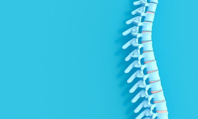 3d render image of a spine on a blue background. concept of health and back problems.